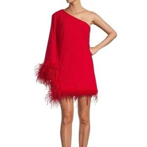 Antonio Melani Cosima
Asymmetrical Neckline Feather Trim Dress Size 16 NWT